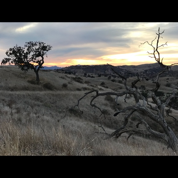 Meet your Posher, Sarah - Picture 1 of 1